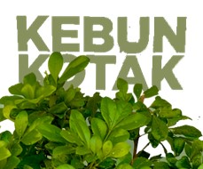 kebun kotak